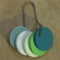 thumbnail--customized paint chips