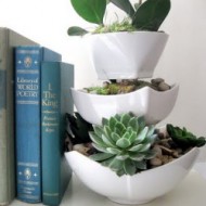 thumbnail--tiered succulent planter