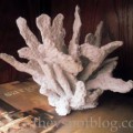 thumbnail--faux coral from dough