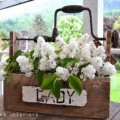 thumbnail--old fashioned tool box