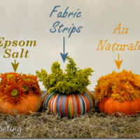 miniature-pumpkin-vases-3_thumb