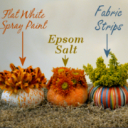 thumbnail--mini pumpkin vases