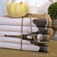 inspiration files--eiffel tower book bundle from confessions of a plate addict blog inspiration files--eiffel tower book bundle from confessions of a plate addict blog
