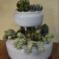 tiered-planter-thumbnail