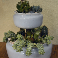 Create a two-tiered table top succulent planter from two upcycled glass light globes
