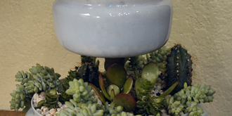 Create a two-tiered table top succulent planter from two upcycled glass light globes