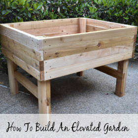 How To Build An Elevated Garden