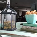 Terrarium made from unused outdoor lighting from Liz Marie Blog