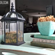 Terrarium made from unused outdoor lighting from Liz Marie Blog Terrarium made from unused outdoor lighting from Liz Marie Blog