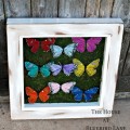 inspiration files--butterfly shadow box from the house at bluebird lane inspiration files--butterfly shadow box from the house at bluebird lane