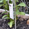 clay and wire plant markers 10