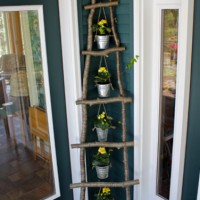 inspiration files--ladder made from branches from ashbee design