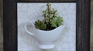 diy framed gravy boat mosaic tile succulent planter wall hanging -- thumbnail