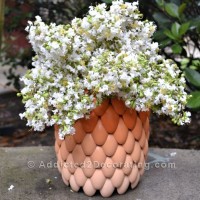 layered-ombre-vase-8