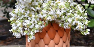 layered-ombre-vase-8