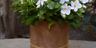 wood veneer vase--thumbnail