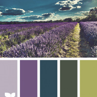 color inspiration - purple green and teal - design seeds