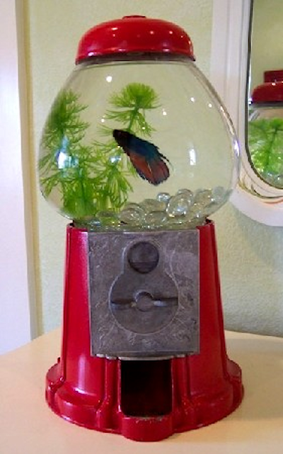 DIY Project Accessories, Gumball Machine Fish Bowl