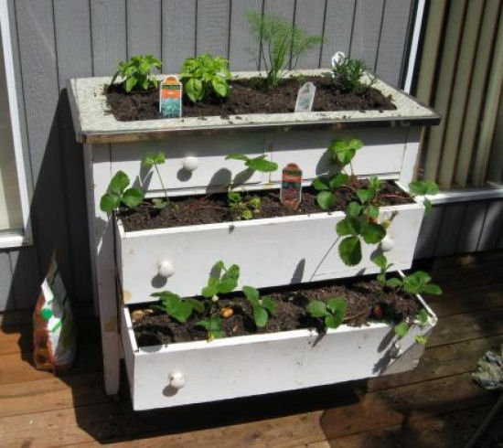 Repurposed dresser:  Turn a dresser into a planter box or container garden, from Hubpages.
