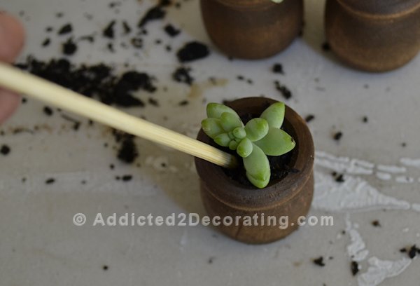 diy project mini succulent planter fridge magnets