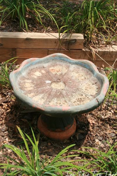 Update a concrete bird bath using mosaic tile from colorful broken plates