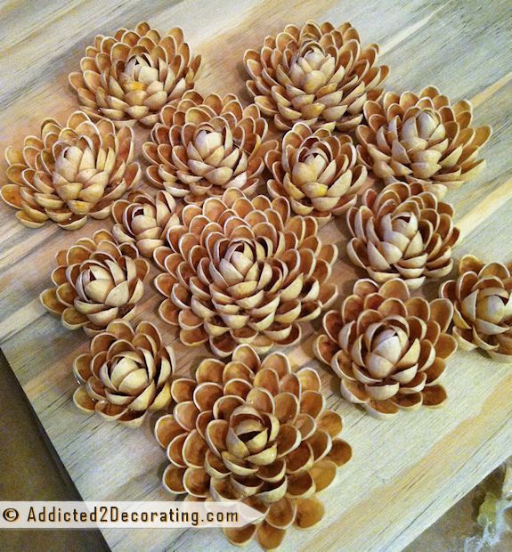 Pistachio shop shell art