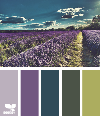 Color Inspiration – Purple, Green and Teal