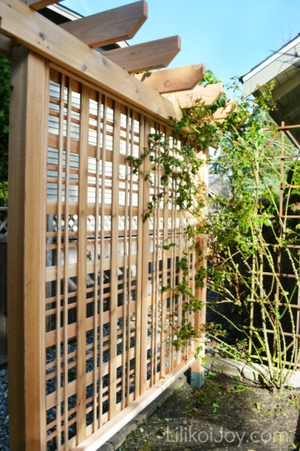 Beautiful Garden Trellis For Climbing Roses Or Vines