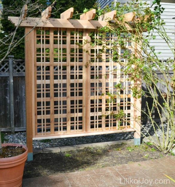 Garden Trellis