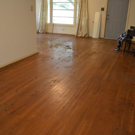 Goodbye, Green Carpet!  Hello, Original Hardwood Floors!