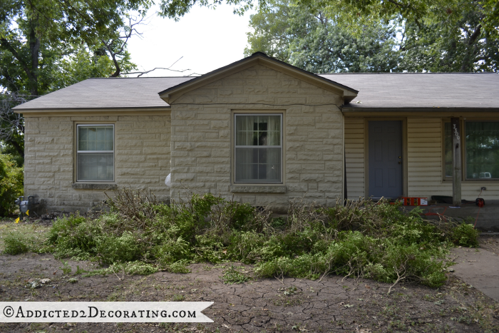 Removing boxwoods from front of house