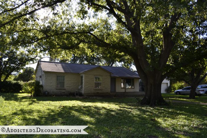 Large oak tree in front yard 2