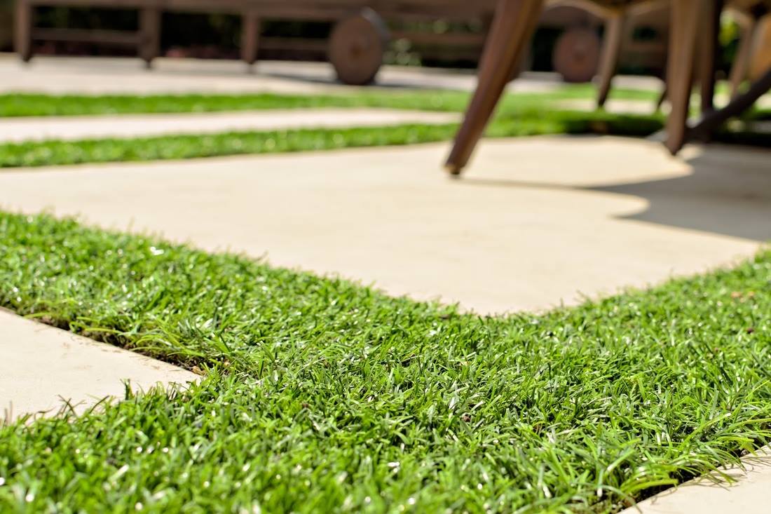 Artificial Grass Lawn (Would You Ever?)