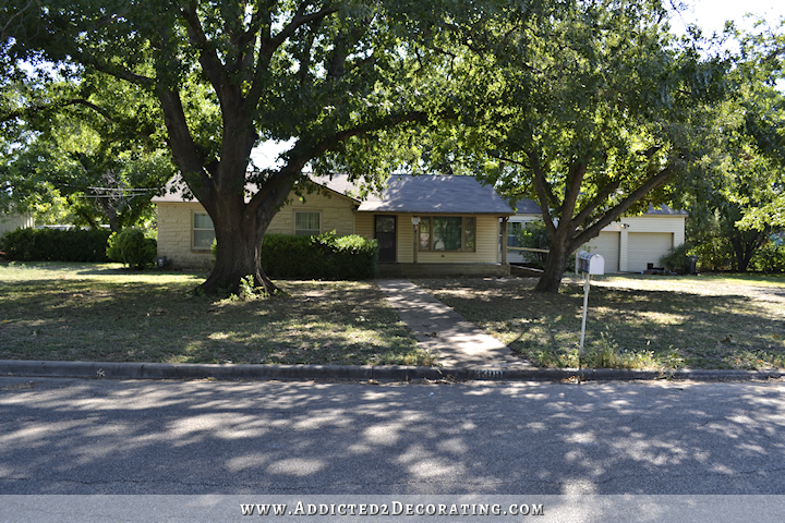 trees in front yard - pecan tree before removal - 1