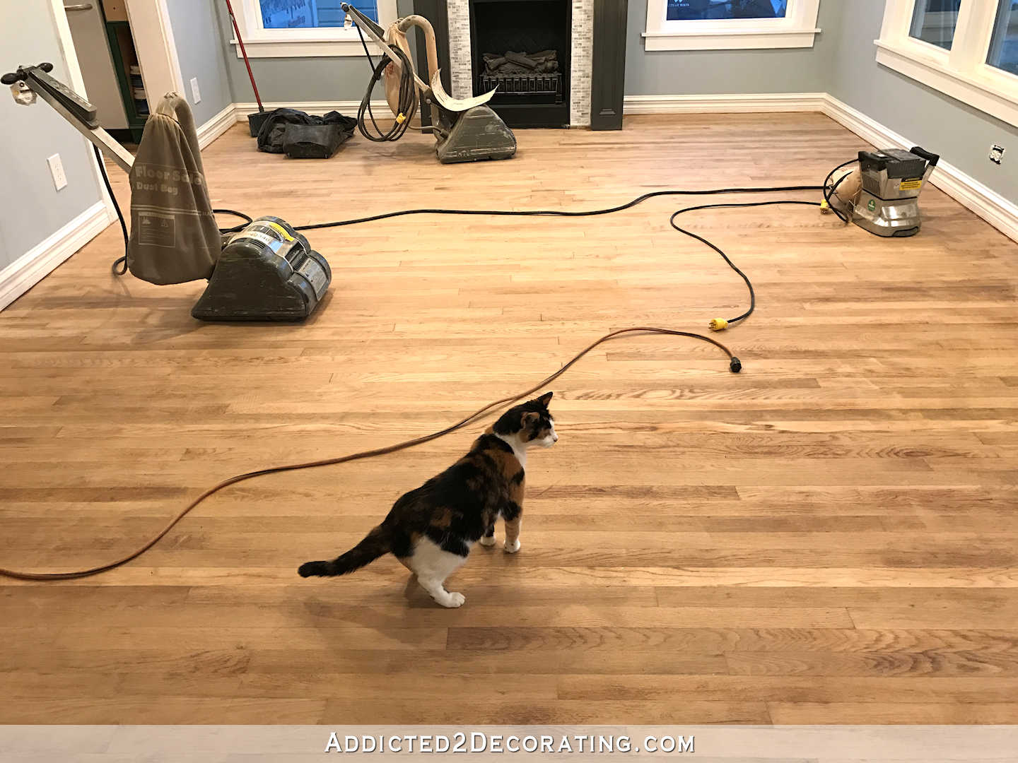 red oak hardwood floors sanded before staining - living room