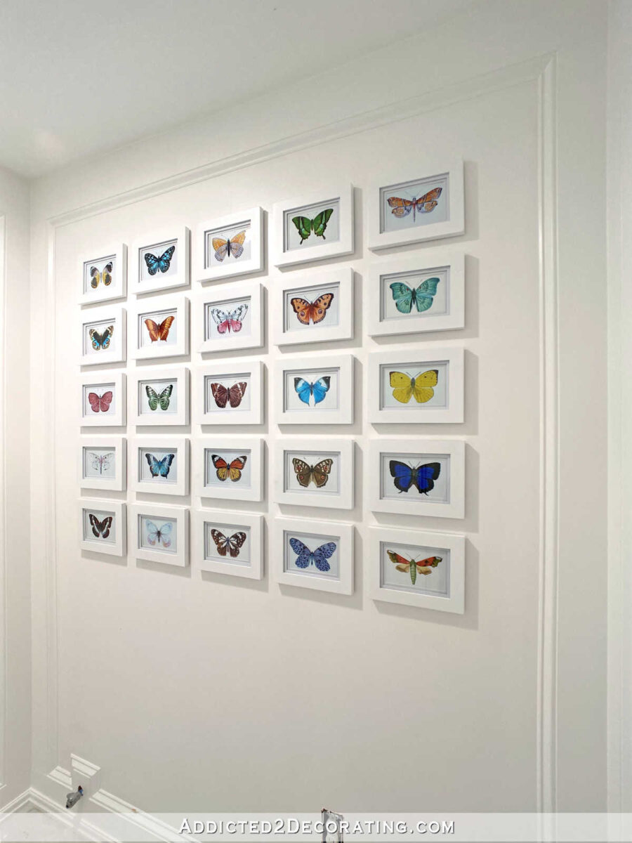 grid gallery wall of butterfly illustrations -- 25 colorful butterflies in white frames on a white wall