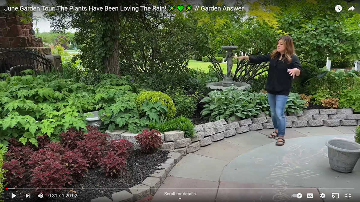 Landscape design inspiration -- Garden Answer YouTube channel -- gorgeous garden beds