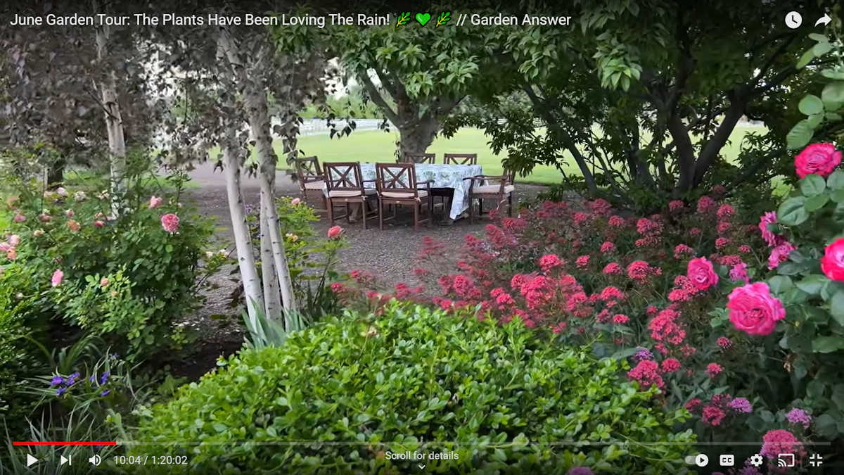Landscape design inspiration -- Garden Answer YouTube channel -- outdoor dining table and chairs set under a tree surrounded by flower beds