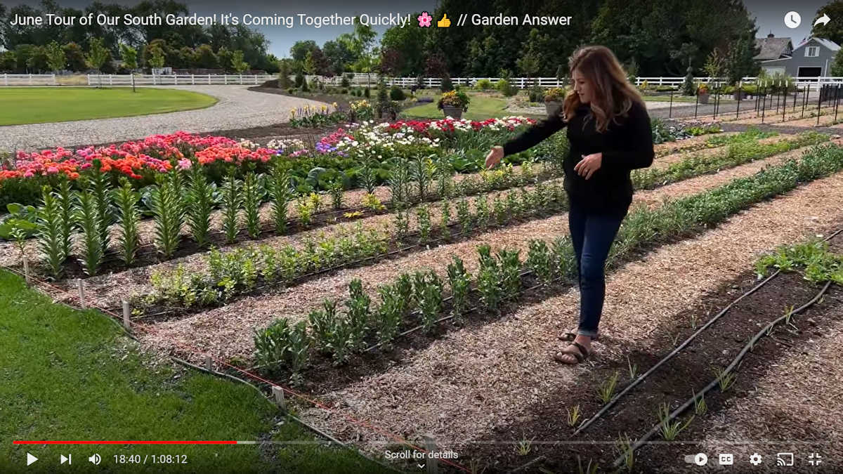 Landscape design inspiration -- Garden Answer YouTube channel - cut flower beds