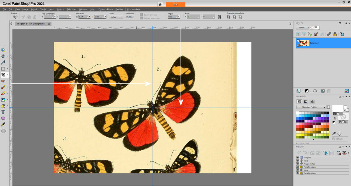 how to edit images to use for artwork using Corel PaintShop Pro 10