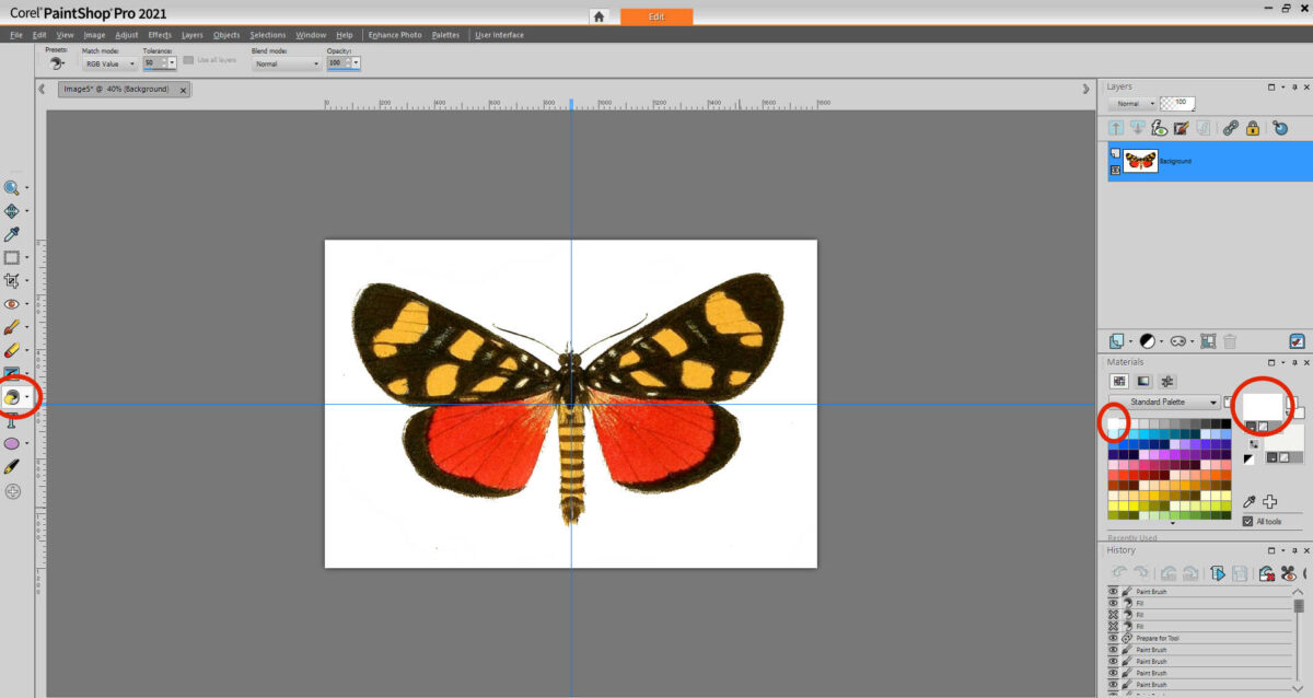 how to edit images to use for artwork using Corel PaintShop Pro 19