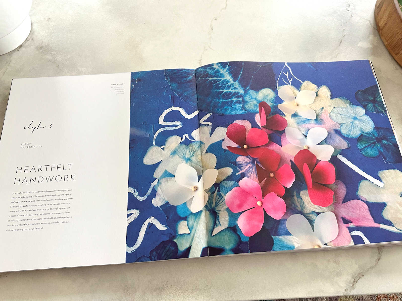 The Most Inspiring Coffee Table Book (And Inspiration For My Bathroom Walls) The Most Inspiring Coffee Table Book (And Inspiration For My Bathroom Walls)