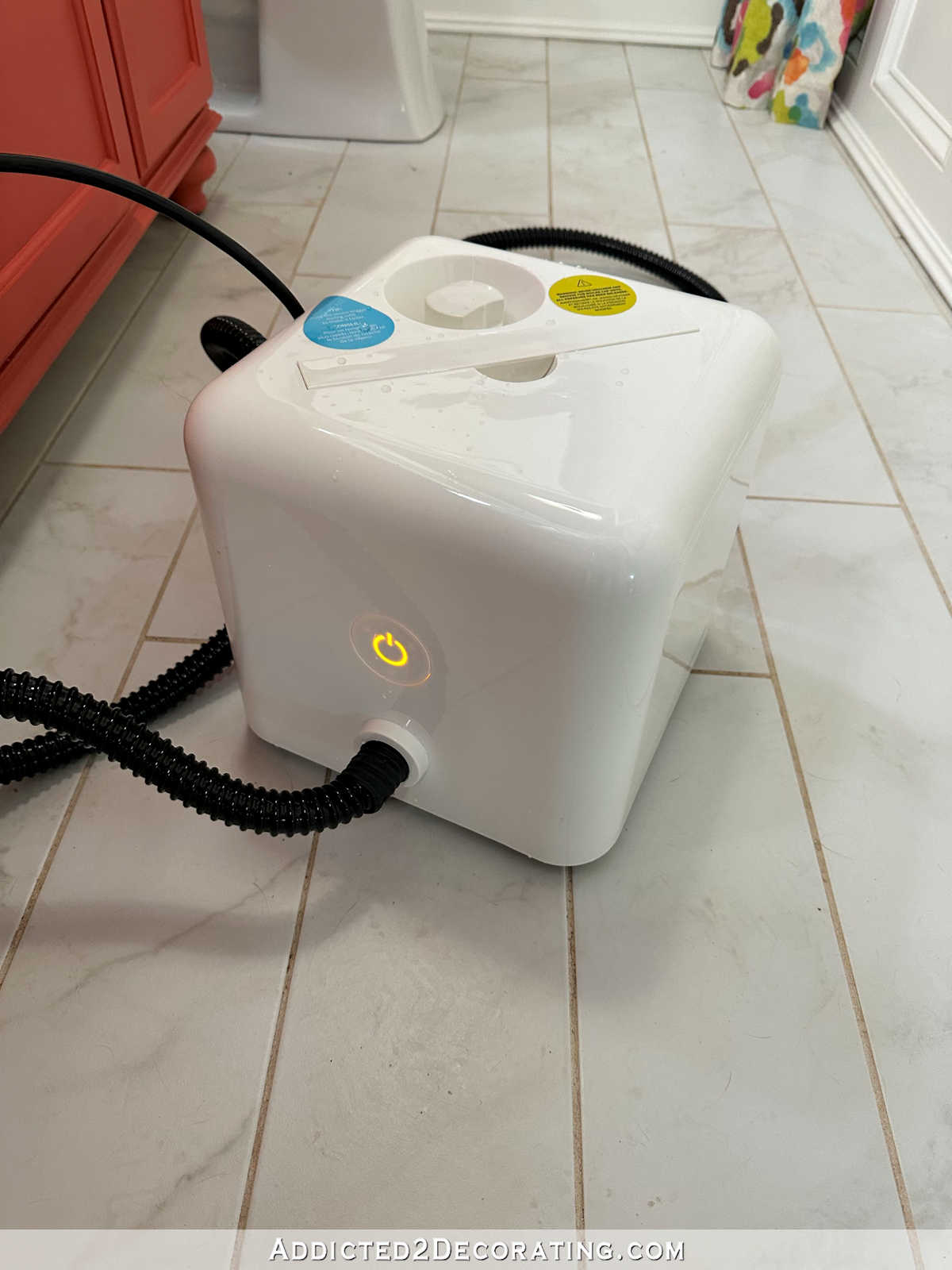 Putting Instagram Influencer Product Recommendations To The Test — Dupray Neat Steam Cleaner