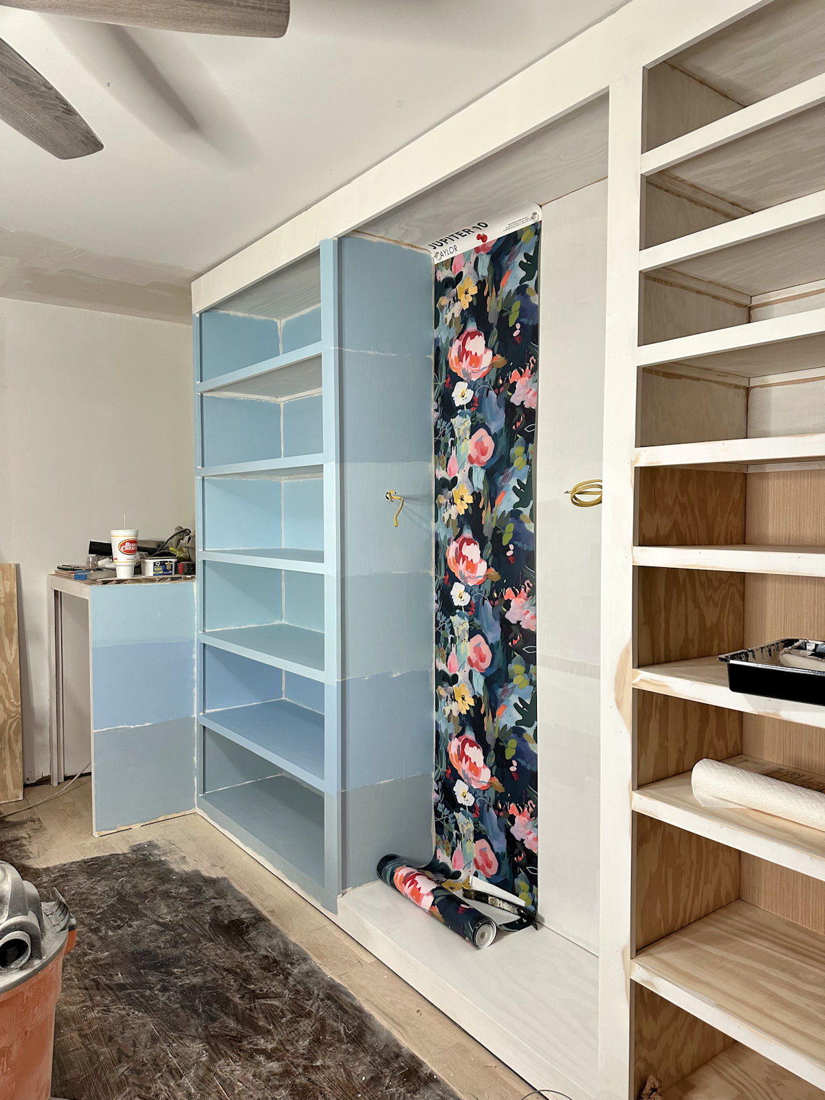 Walk-In Closet Paint Color Ideas - SavvyHomeTrends