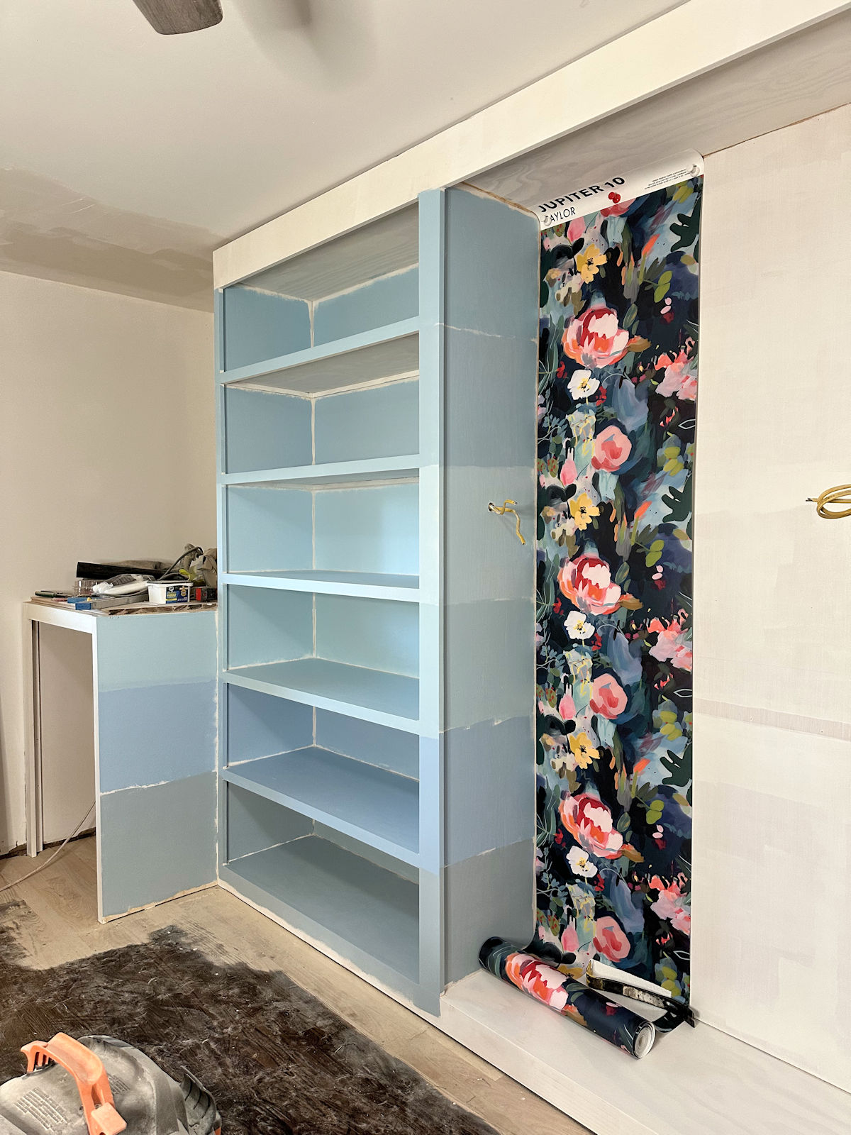 Walk-In Closet Paint Color Options (Testing Six Different Blue Paint Colors)