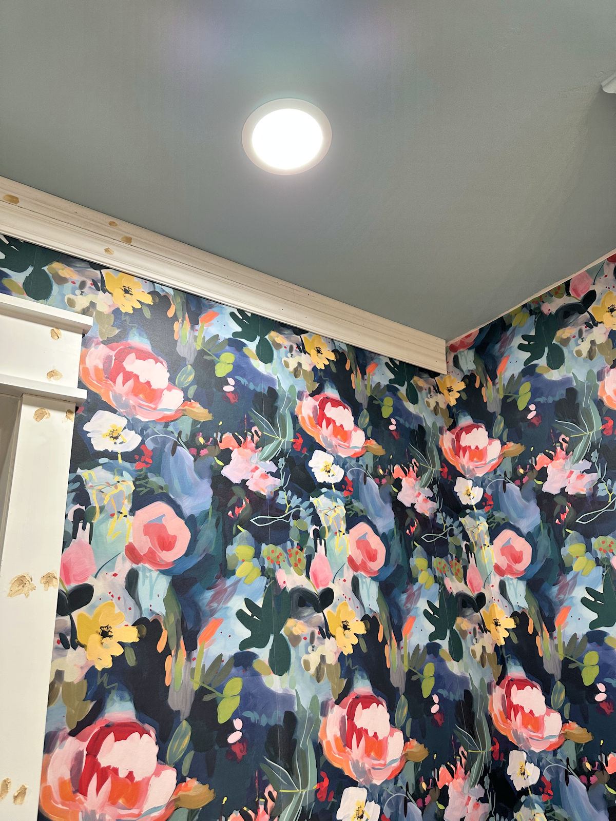 Small Progress & Window Treatment Options