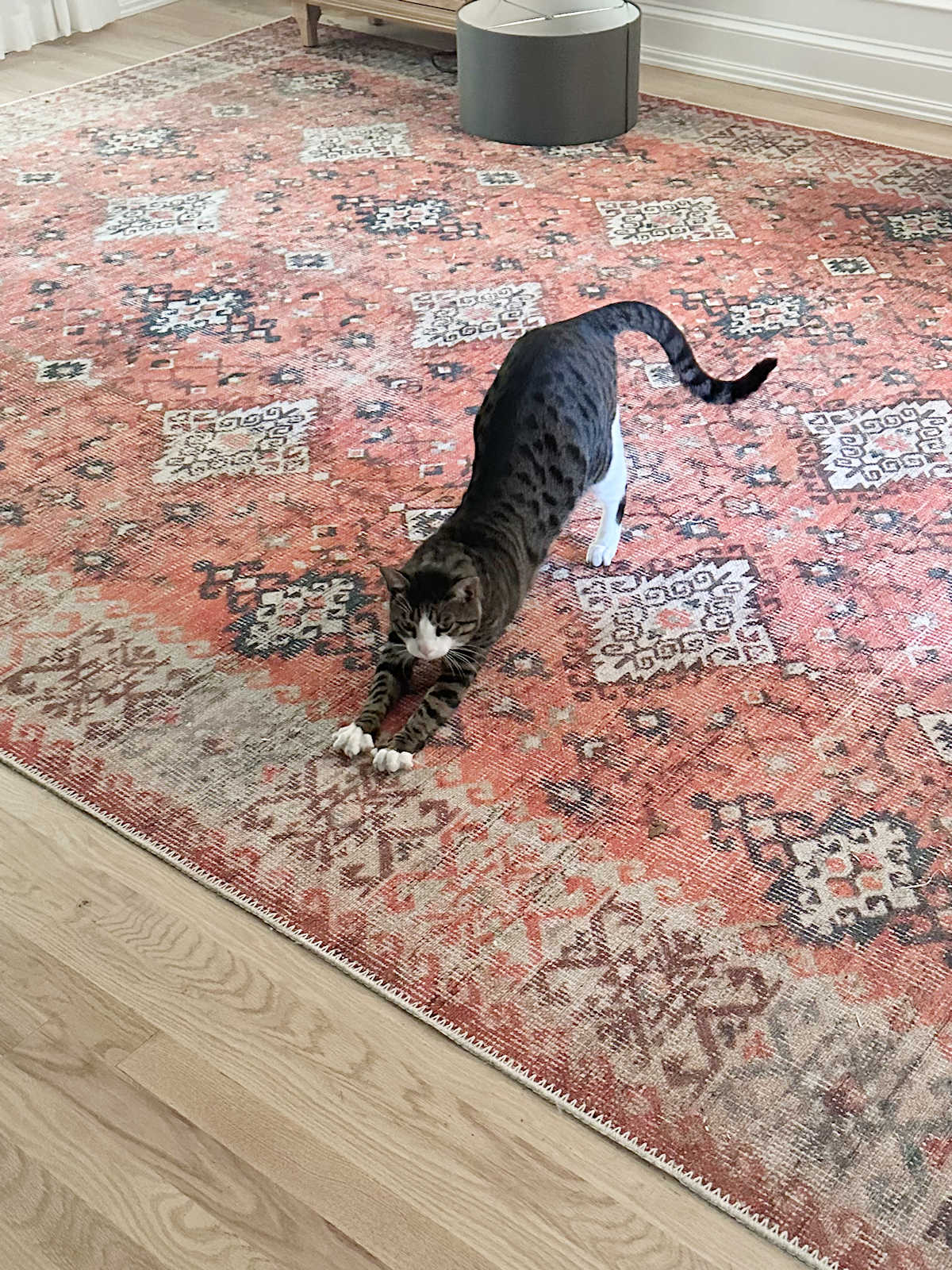 How I Created And Printed A Custom Fabric For The Bedroom (Plus, An Update On Tiger)